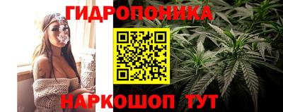 ешки Славгород