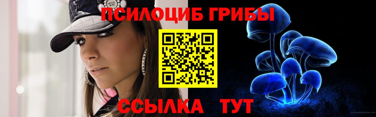 Псилоцибиновые грибы Psilocybe  Вход с VPN  Новозыбков  Галлюциногенные грибы MAGIC MUSHROOMS 